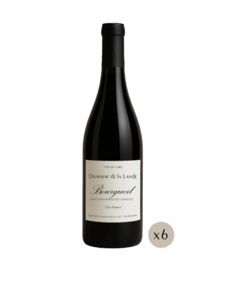Bourgueil "Clos Barrot"