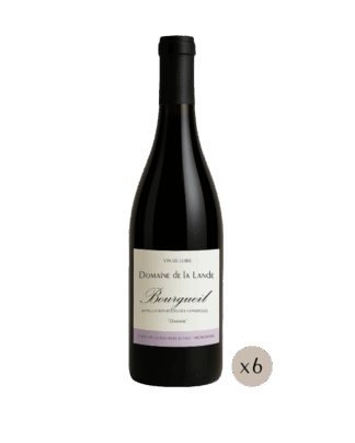 Bourgueil "Domaine"