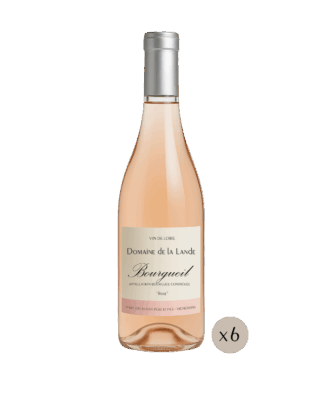 Bourgueil "Rosé"