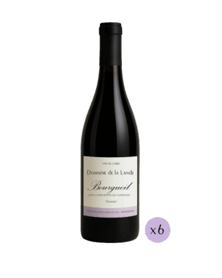 Bourgueil "Domaine"
